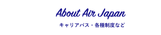 About Air Japan キャリアパス・各種制度など